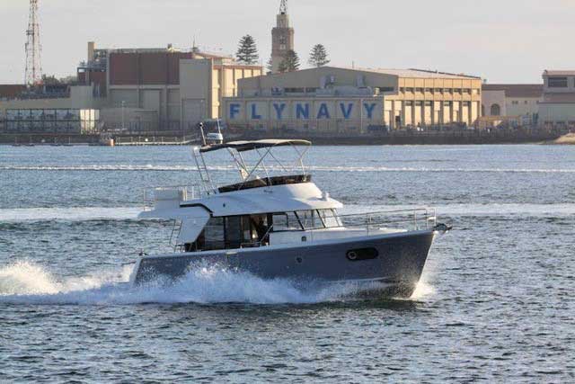 dolphin sightings in Newport